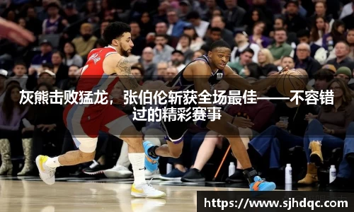 bsports官网 必一运动